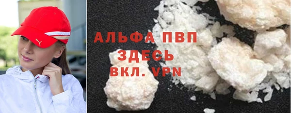 индика Наволоки