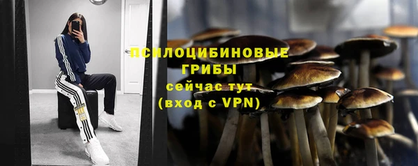амф Надым