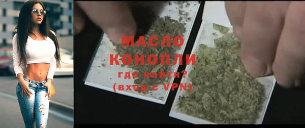 индика Наволоки