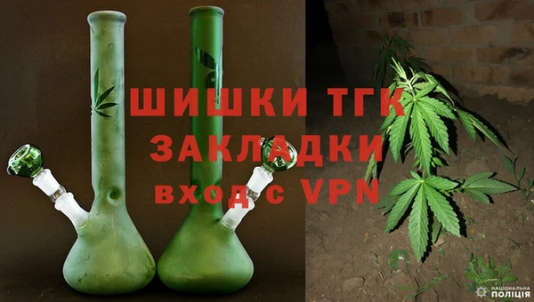 амф Надым