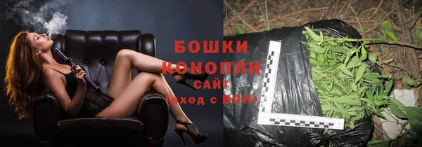 амф Надым
